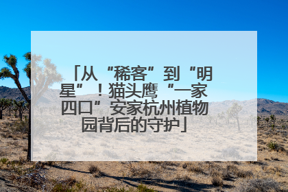 从“稀客”到“明星”！猫头鹰“一家四口”安家杭州植物园背后的守护